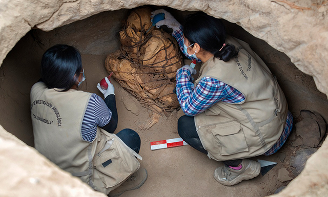 Mumi berusia 800 tahun dengan posisi meringkuk, diikat dan tangan menutupi wajah.  Foto:  National University of San Marcos 
