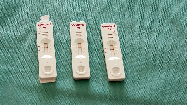 Indikator Test Antigen. Sumber: Pixabay