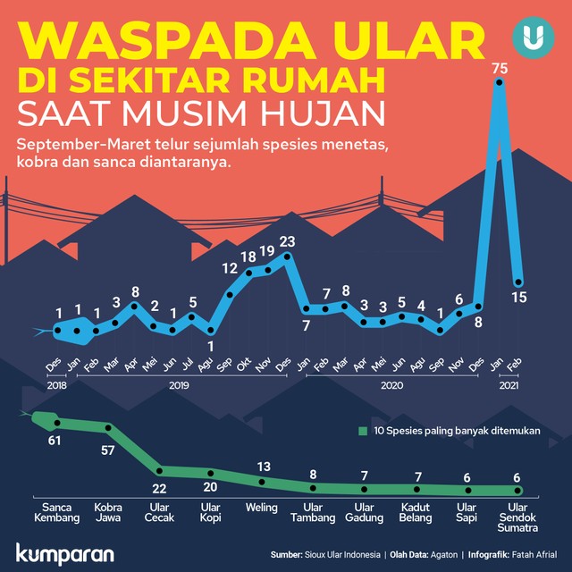 Bertemu Ular di Kasur (1) (253217)