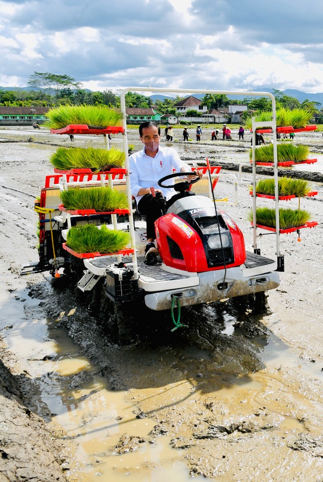 Presiden Joko Widodo mengoperasikan rice transplanter riding saat olah tanam dan penanaman padi di Trenggalek, Jawa Timur, Selasa (30/11). Foto: Kementan RI