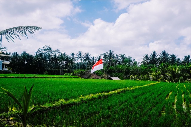 Ilustrasi bendera merah putih sebagai simbol negara Indonesia. Foto: Pixabay.com