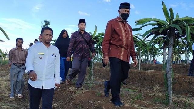 Gubernur Sumatera Barat Mahyeldi (kanan) berada di kawasan perkebunan buah naga yang turut didampingi oleh Wali Nagari Kacang Andrian. istimewa