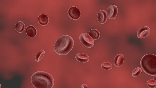 Ilustrasi sel darah merah pada sistem peredaran darah manusia. Foto: Picabay.com