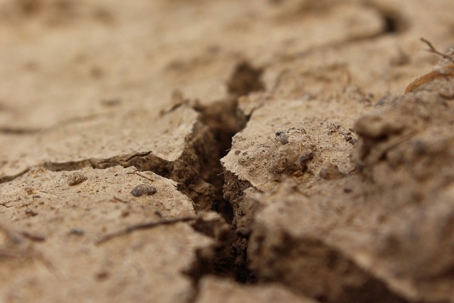 Jenis-jenis tanah berdasarkan bahan induk pembentuk terdiri dari tanah gambut hingga tanah aluvial. Foto: Pixabay