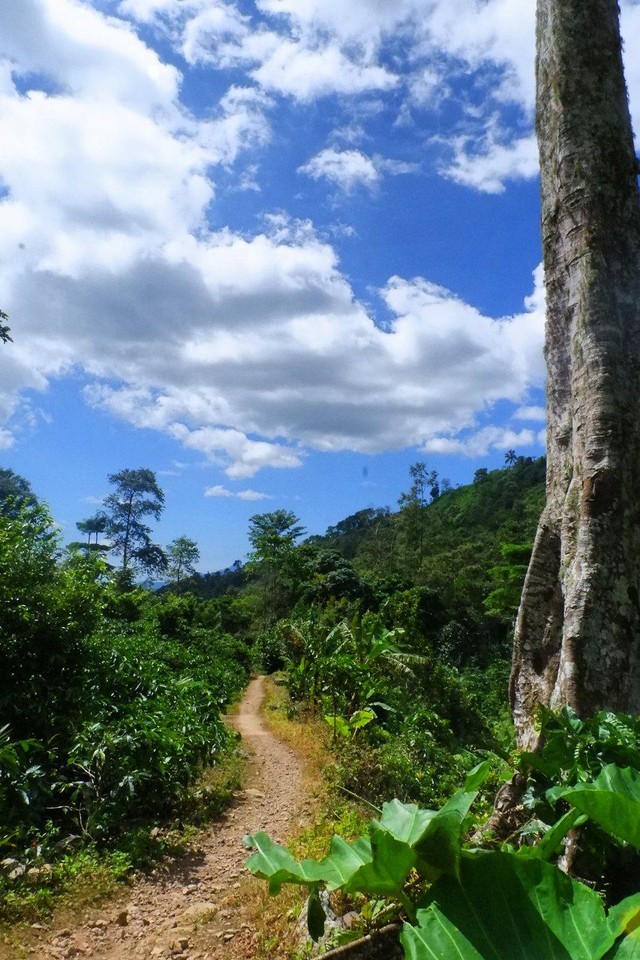 Mencoba Trekking Menemukan Pesona Air Terjun Sinar Tiga Pesawaran Lampung (3)