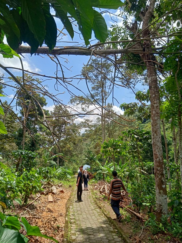 Mencoba Trekking Menemukan Pesona Air Terjun Sinar Tiga Pesawaran Lampung (5)