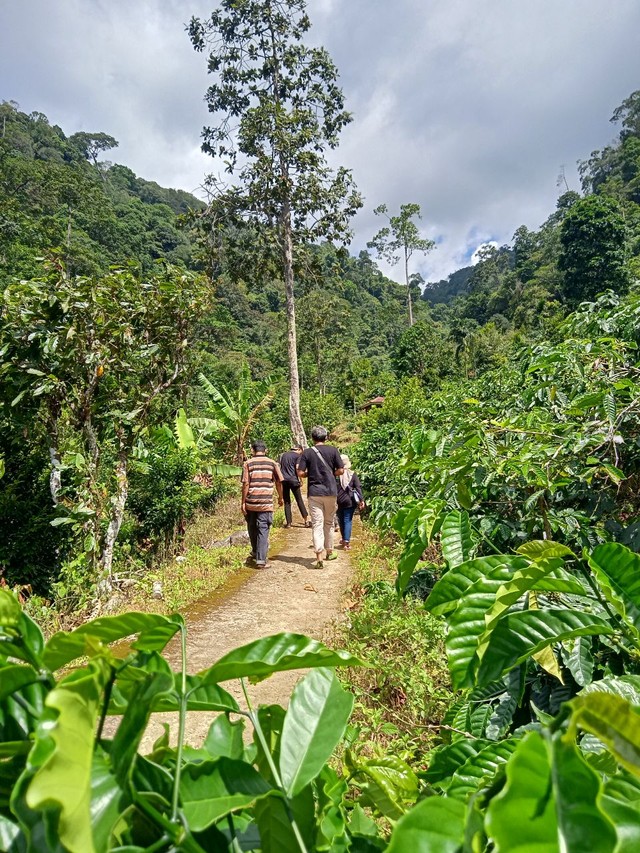 Mencoba Trekking Menemukan Pesona Air Terjun Sinar Tiga Pesawaran Lampung (6)
