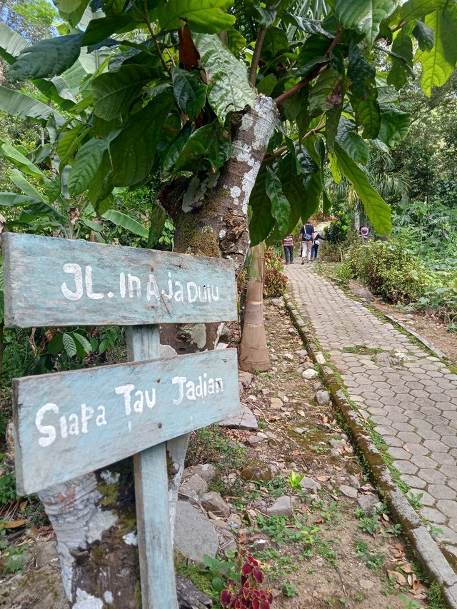 Mencoba Trekking Menemukan Pesona Air Terjun Sinar Tiga Pesawaran Lampung (7)