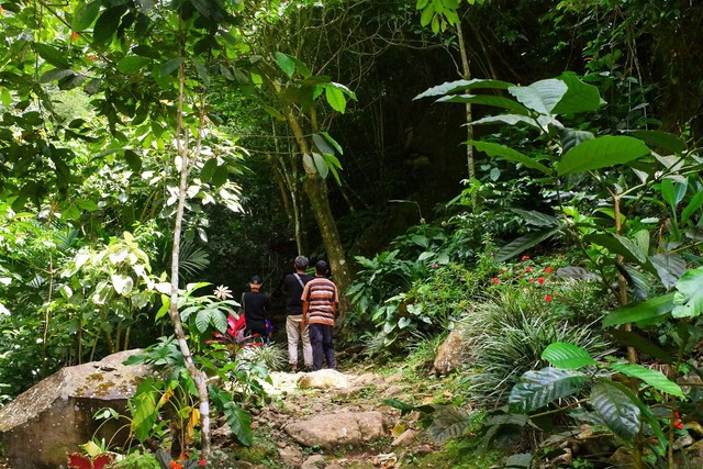 Mencoba Trekking Menemukan Pesona Air Terjun Sinar Tiga Pesawaran Lampung (8)
