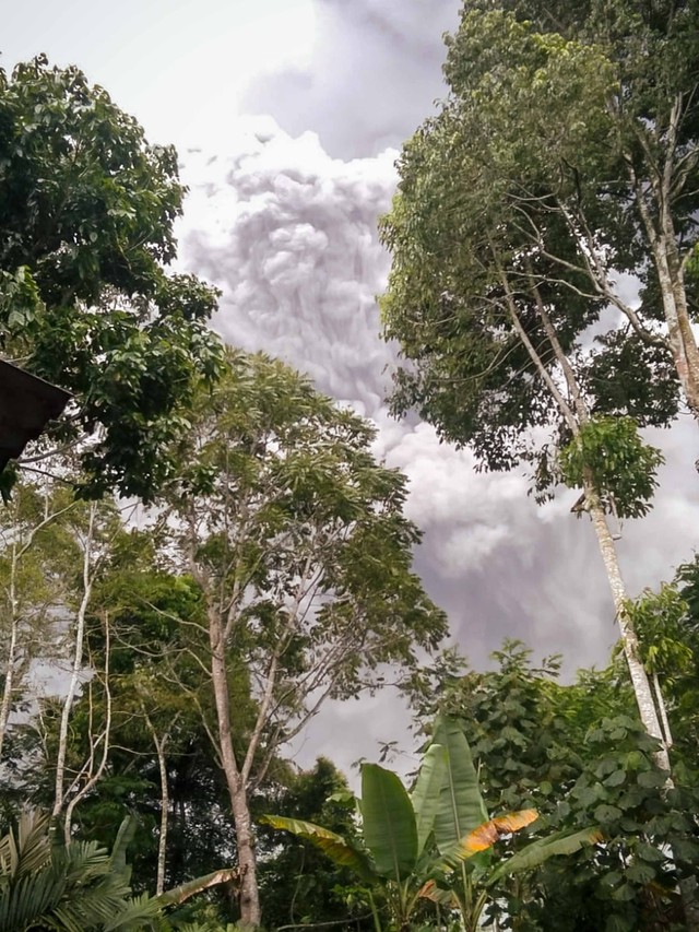 Gunung Semeru di Kabupaten Lumajang, Jawa Timur dilaporkan mengalami erupsi yang disertai awan panas guguran, Sabtu (4/12) sekitar pukul 15.00 WIB. Foto: Dok. Istimewa