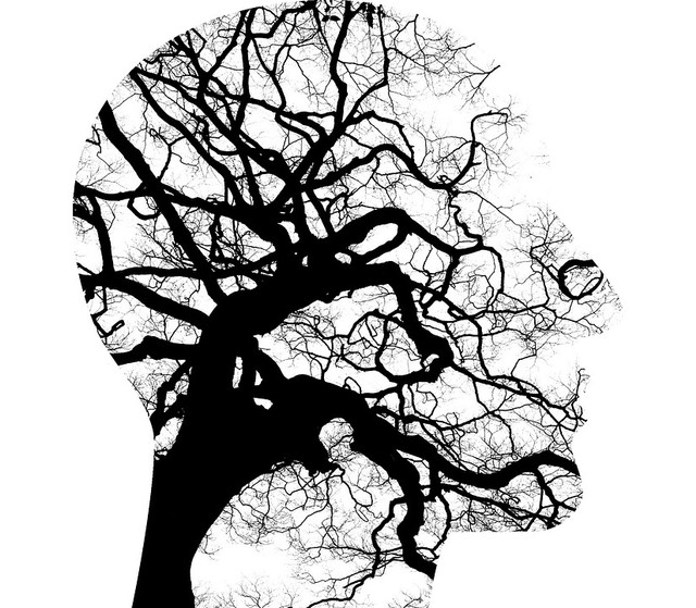 https://pixabay.com/illustrations/mental-health-brain-thinking-2313430/