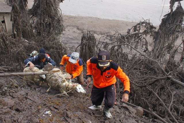 Pertamina Jamin Stok BBM dan LPG di Wilayah Terdampak Erupsi Gunung Semeru Aman (60414)