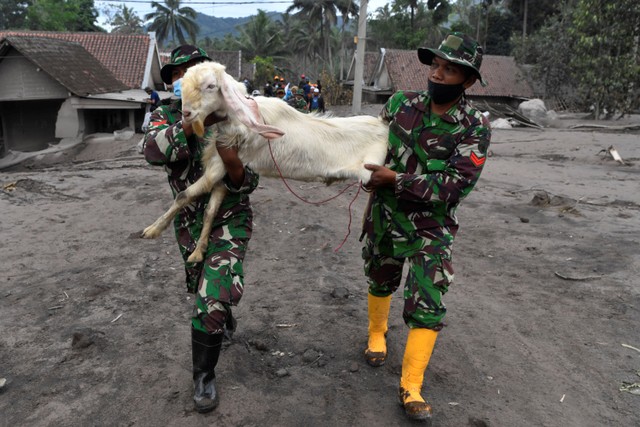 Foto Tni Polri Bantu Warga Korban Letusan Gunung Semeru Selamatkan