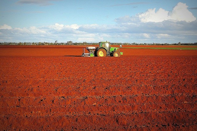 Ilustrasi warna tanah yang berwarna merah kecoklatan. Foto: Pixabay