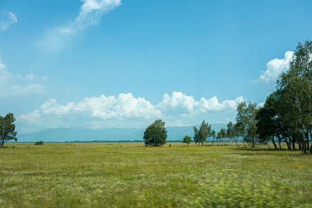 Mengapa kondisi tekstur tanah memengaruhi kesuburan tanahnya? Foto: Unsplash