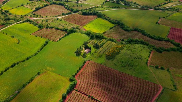 Perbedaan lahan kritis dan lahan potensial dari sudut pertanian dan pemukiman. Foto: Unsplash