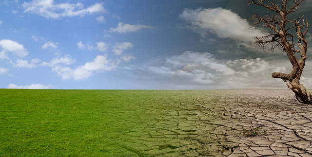 Perubahan iklim adalah fenomena alam yang ditandai dengan adanya kondisi abnormal atmosfer. Foto: Pixabay.com