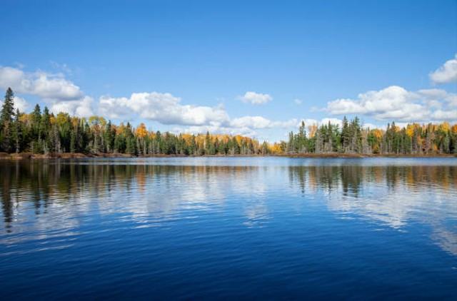 Danau. Foto: iStock