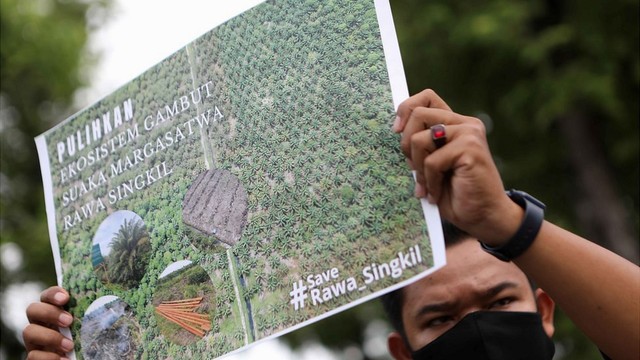 Deforestasi di Indonesia menjadi isu politik yang besar