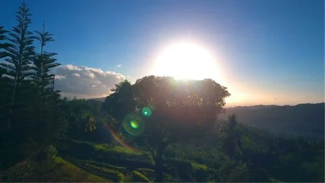 Sinar matahari merupakan bagian dari energi surya yang dapat dimanfaatkan oleh makhluk hidup di bumi. Foto: Pexels.com