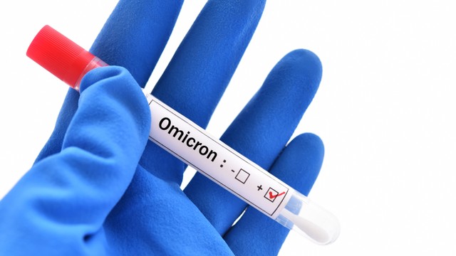 Ilustrasi virus corona Omicron.
 Foto: Shutterstock