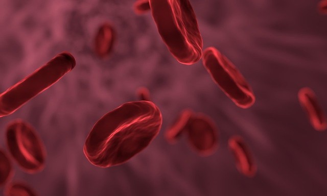 Ilustrasi Sel Darah Merah. (Foto: allinonemovie by https://pixabay.com)