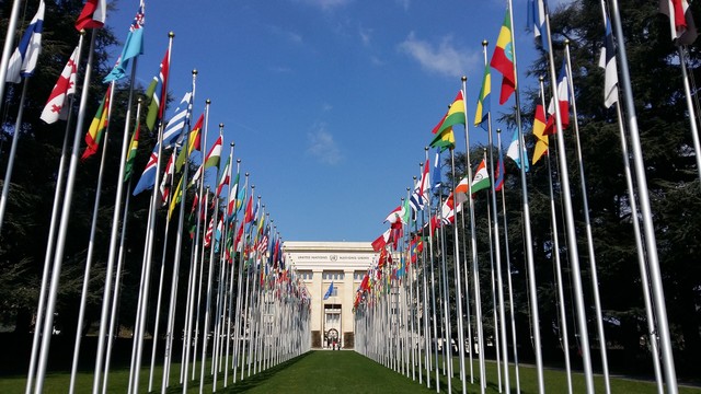 Ilustrasi bendera negara dunia. Foto: Pixabay.com
