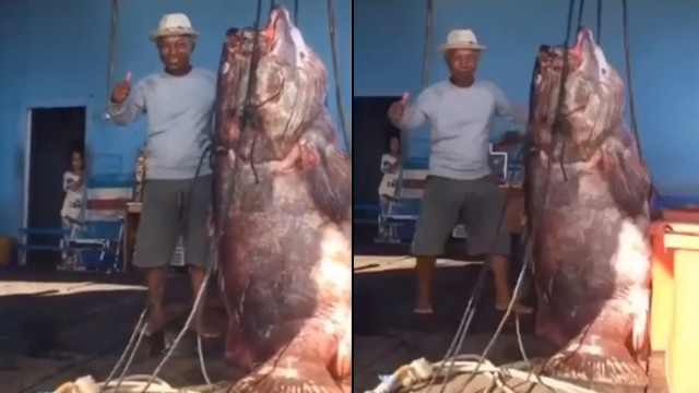 Kakek ini berhasil tangkap ikan keratong. (Foto: @info_kukar/Instagram)