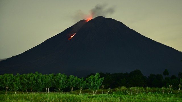 Gunung Semeru mengeluarkan lava pijar terlihat dari Desa Sumber Mujur, Candipuro, Lumajang, Jawa Timur, Jumat (10/12/2021). Foto: Budi Candra Setya/ANTARA FOTO