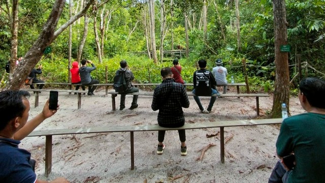 Wisatawan saat mengunjungi Taman Nasional Tanjung Puting, Kotawaringin Barat. Foto: IST/InfoPBUN