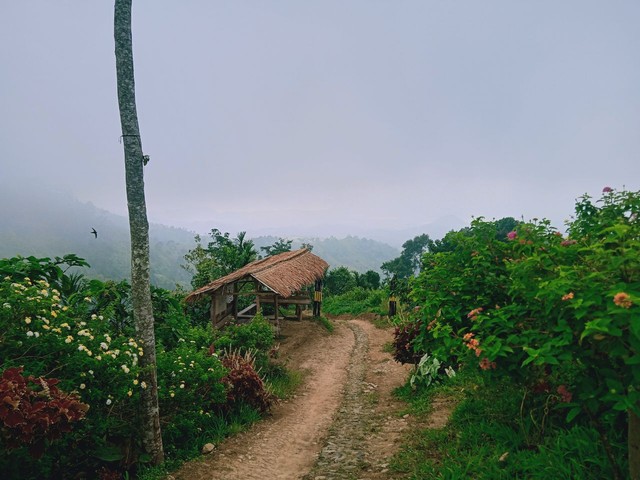 Self Healing dan Berburu Kabut di Ketinggian 1.000 Mdpl Puncak Punggung Naga (86671)