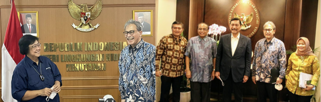 Terbentur 'Clique' Kayu Tropis Dunia (5628)