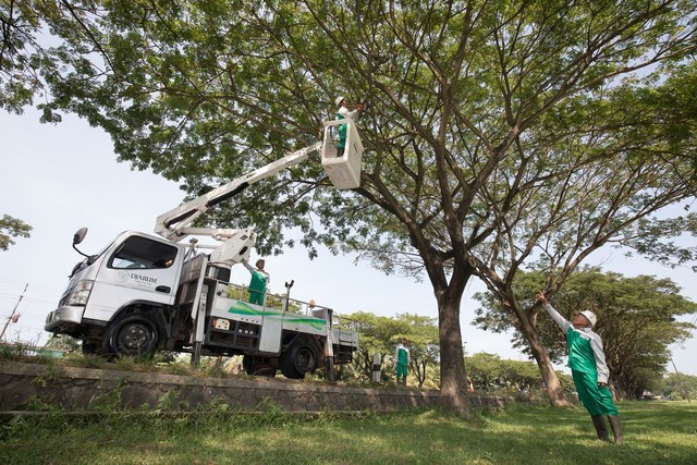 Bakti Lingkungan Djarum Foundation (BLDF) melakukan program Djarum Trees for Life (DTFL) dengan penanaman pohon Trembesi di beberapa ruas jalan yang ramai dilalui kendaraan, termasuk Tol Jawa dan Sumatera. Foto: Dok. Djarum Foundation