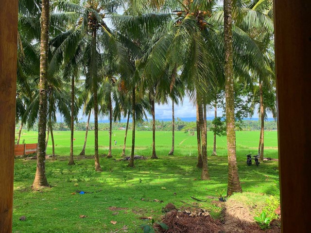 Desa Berdaya Homestay: Penginapan dengan View Pantai dan Sawah di Pesisir Barat (11)