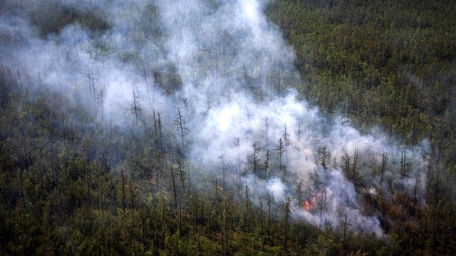 Kebakaran hutan di kawasan Arktika diperparah oleh suhu tinggi dan angin kencang.