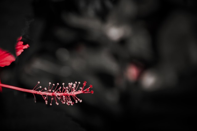 https://unsplash.com/@snap_hood_ - rumus edit lightroom