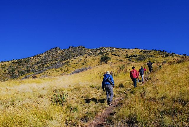 Ilustrasi mendaki gunung Foto: Unsplash