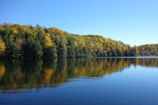 Manfaat danau dan rawa bagi kehidupan sehari-hari. Foto: Unsplash