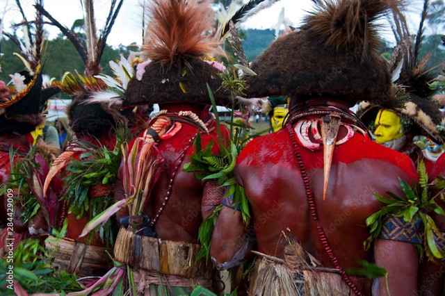 Illustrasi Upacara Adat Papua. Foto: Adobe Stock