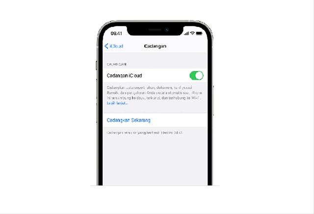 Cara Update iOS 15 dengan Data Seluler (19173)