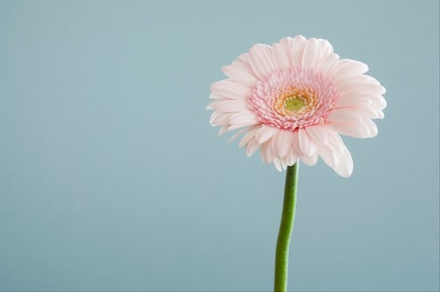 https://unsplash.com/@andsmall - Rumus lightroom pastel