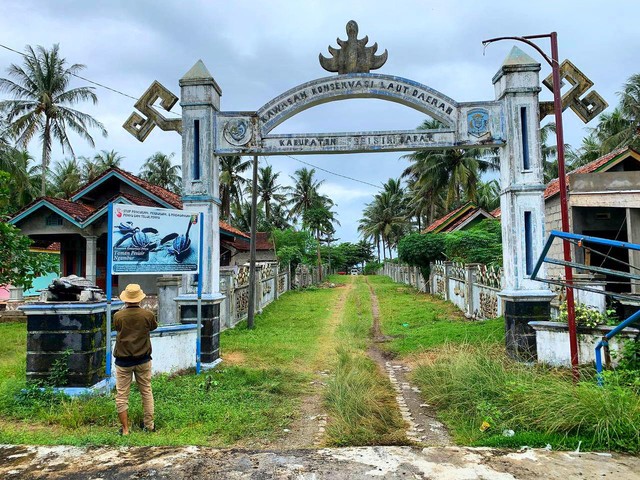 Berkunjung dan Melihat Penangkaran Penyu Muara Tembulih Pesisir Barat, Lampung (2)