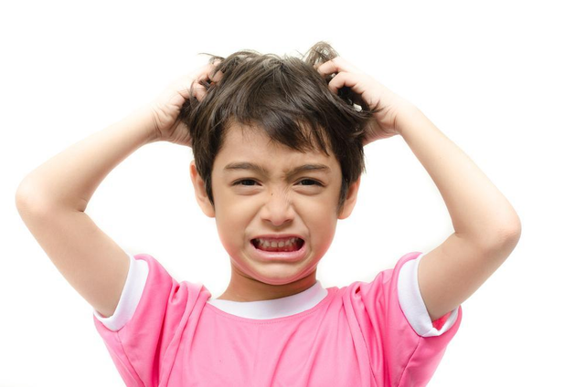 Ilustrasi rambut anak ada kutu rambut. Foto: Shutterstock.