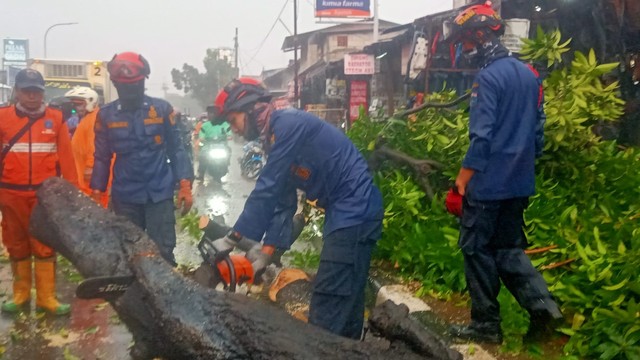 Evakuasi pohon tumbang di Jalan Raya Pasar Minggu, Jakarta Selatan. Foto: Dok. Istimewa