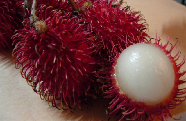 Nama Buah dari Huruf R, Foto: Flickr/Abunawar Basyeban 