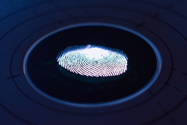 Ilustrasi fingerprint. Sumber foto: Unsplash