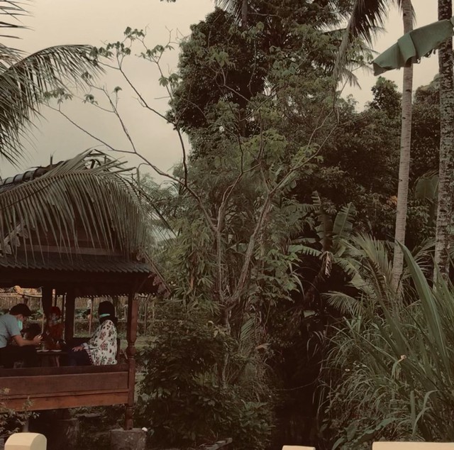 Suasana halaman belakang di Warung Kopi Klotok Jogja. Foto milik pribadi.