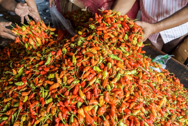 Pedagang memilah cabai rawit merah di Pasar Induk Kramat Jati, Jakarta, Rabu (22/12/2021). Foto: Galih Pradipta/Antara Foto