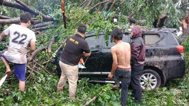 Hujan Angin Di Tangerang: Pohon Tumbang Di 7 Titik, 3 Orang Luka-luka ...