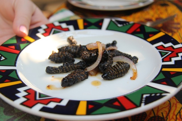 Ilustrasi tradisi Natal di Afrika Selatan makan ulat mopane. Foto: Shutter Stock